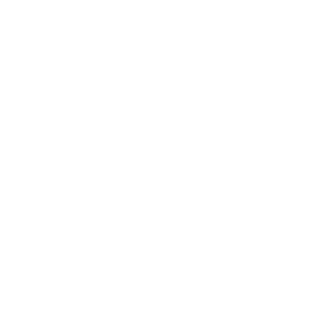 ossolineum_merytoryczny (1)