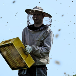 Beekeeping workshop at the apiary (1-3 people)