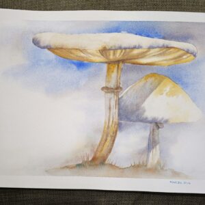Watercolor paiting Mushrooms 24x30