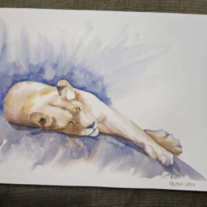 Watercolor paiting Lion 24x30