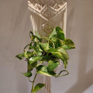 Handcrafted macrame flower stand