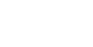 vividgallerylogo