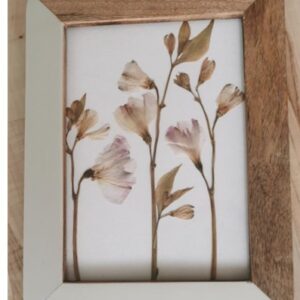 Pressed flowers in a frame