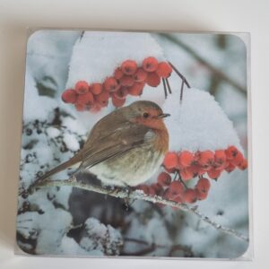 Robin cork coasters